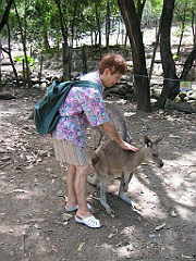 038 Cairns Tropical Zoo